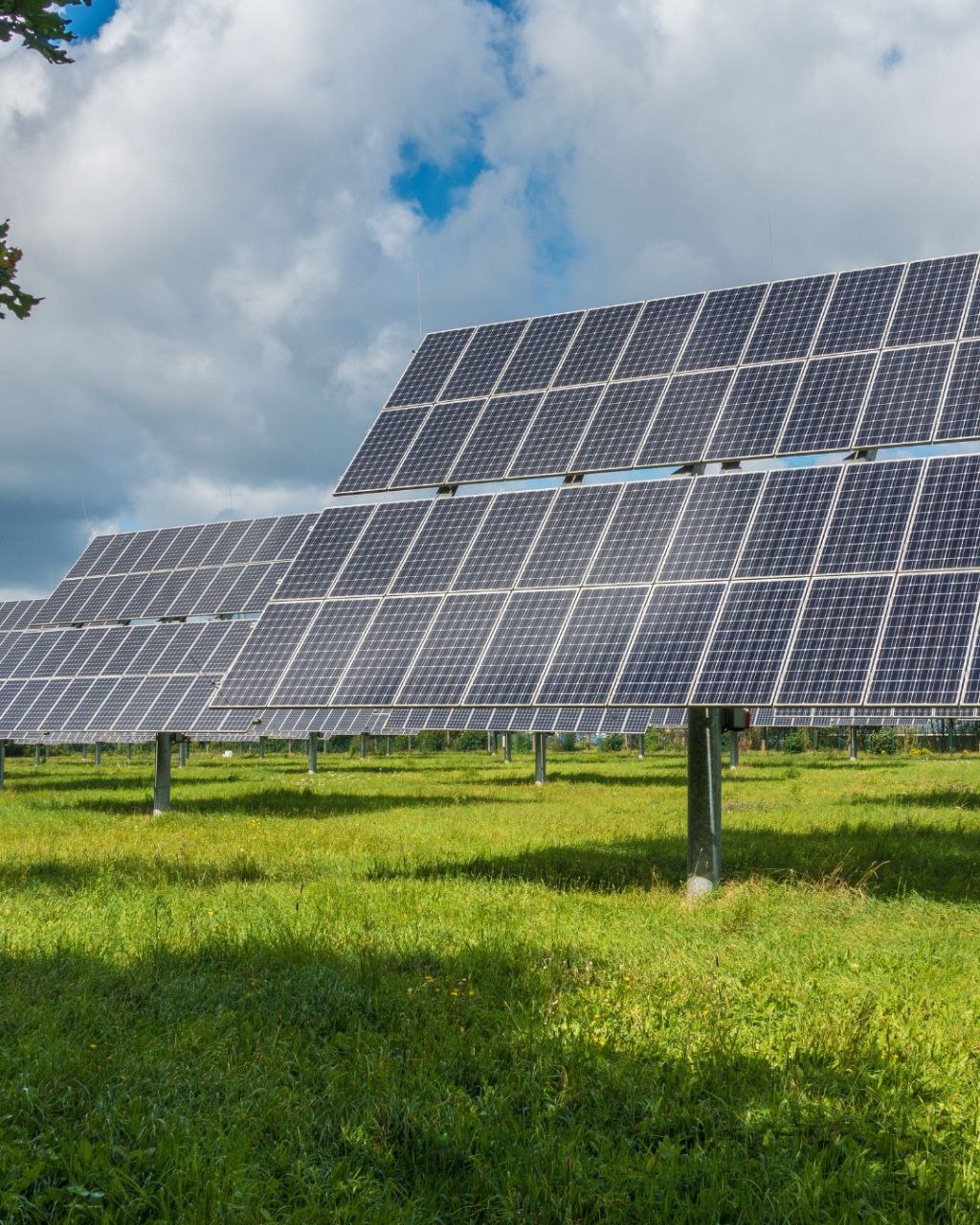 pannelli-agrivoltaici